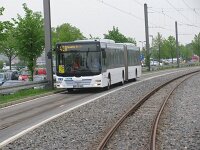 Maimarkt 2013 0017
