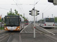 Maimarkt 2013 0019