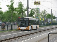 Maimarkt 2013 0026