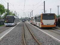 Maimarkt 2013 0028