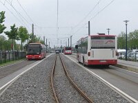 Maimarkt 2013 0032
