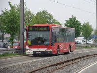 Maimarkt 2013 0036