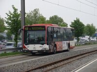 Maimarkt 2013 0038