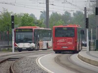 Maimarkt 2013 0039