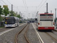 Maimarkt 2013 0040