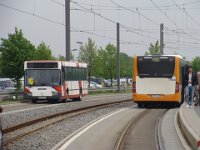 Maimarkt 2013 0041