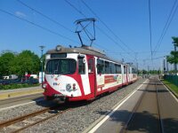 Maimarkt 2013 0042