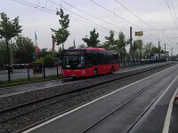 Maimarkt 2013 0044