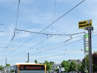 Maimarkt_2016_0094